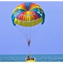 섬과 하루 이미지