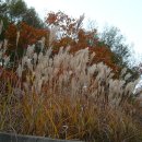 진주농장 이미지