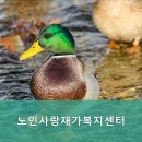 대덕구노인복지센터 이미지