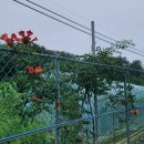 월현농장 이미지