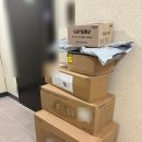 어반폴리 | [내 돈 내산] 어반 사이드 이지 벙커 프로 650/이지 벙커 프로 첫 사용 후기/가족텐트
