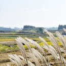 경기둘레길 평택45코스 이미지