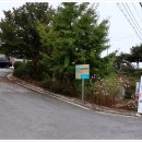 월포보건진료소 이미지