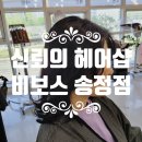 비보스 이미지