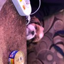 오수관촌농협하나로마트 이미지