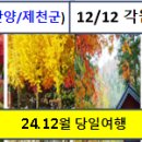 (24.12월 당일여행) 1(일)구인사/12(목)각원사/17(화)월정사/21(토)임실 산타마을/25(수) 협곡열차 이미지