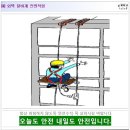 건설안전기술사_외벽 달비계 안전작업 이미지