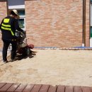 단월초교 병설유치원 이미지