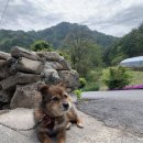 김삿갓면-24 이미지