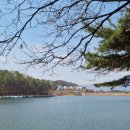 고모리691 이미지