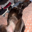 금정산 | 부산 금정산 파리봉 등산 후기 / 부산 야경 맛집