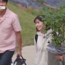 What's with the plant? 이미지