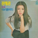 비밀 / 정혜경 (1977) 이미지