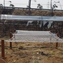 딸기밭 부농 이미지