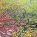 동보행정사 사무소 이미지