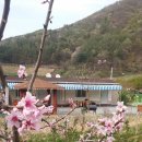 개나리농장 이미지