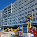 스플라스리솜 이미지