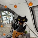 주전월남정화장실 이미지