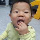 미들리