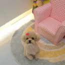 브리앙뜨몽 이미지