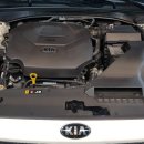 SHARK MOTOR OIL 이미지