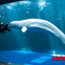 아쿠아플라넷 여수 이미지