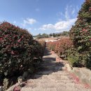포레스트2 | 제주 동백포레스트 2월 가족여행 후기