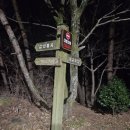 솔밭가든 이미지