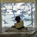 토리아이프라이빗빌라 | [보령] 독채 펜션 라바풀빌라, 20개월 아기와 함께한 프라이빗 온수풀 태교여행급 힐링 후기