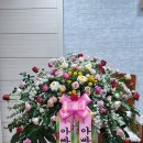 풍성한 은혜농장 이미지