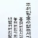 혹시나? 이미지