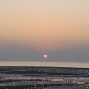 메추리 펜션 이미지