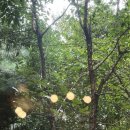 노인복지관(민방위교육장)(굴포로114) | [블챌 ] : 카페 아띠 (함미씨의 최애 카페를 소개해요.)