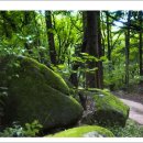 천주사 입구 이미지