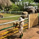 세아영어 | [푸꾸옥] 아이와 여행 빈펄 랜드 사파리 주키퍼 체험 꿀팁 후기