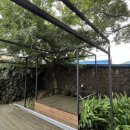 성읍리-1 이미지