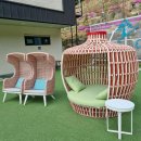 소나무카페(소나무관광농원) 이미지