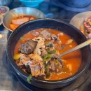 잠실순대 | 청와옥 본점 잠실점 웨이팅 후 순대국&amp;오징어숯불구이 메뉴 후기