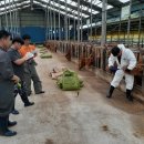 장수한우지방공사 이미지