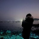어흥어흥 기장일광점 | 간절곶, 진하해수욕장 - SNS에서 핫한 야경명소 명선도