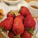 남도삼백리길(11코스) | 전라남도 순천 벚꽃여행 강추 벚꽃 만개 장소 추천 (서면, 화개, 섬진강)