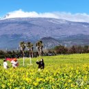 남원읍-17 이미지