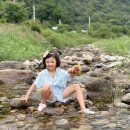 레트로캠핑N민박 이미지