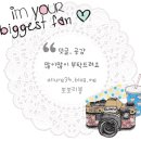 브이제이투어 이미지