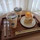 샛별 | 노원역 케이크 맛집 샛별제과 오렌지 치즈케이크 주말 방문 후기 이전 소식