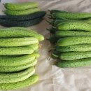 재형농장 이미지