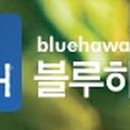 용시푸드 이미지