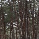 수리덤캠핑장 이미지