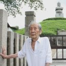 시로씨 이미지