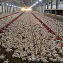 문기 농장 이미지